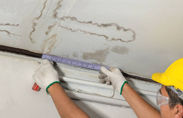 Reliable Sewage Cleanup contractor in Stantonsburg, NC by Water Damage Irwin